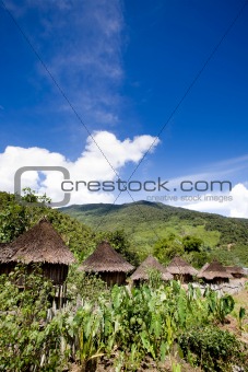 Traditional Mountain Village