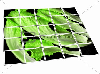 lettuce leaves collage