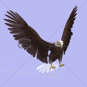 Great Eagle