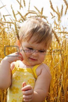 Kid in wheat spikes