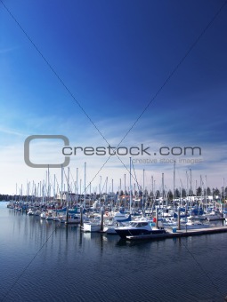 Boats at Marina