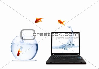 Digital Fish 