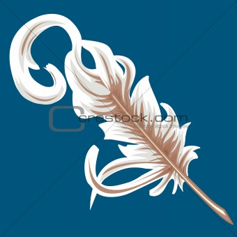 quill feather