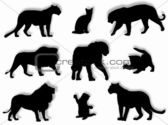 Feline silhouettes