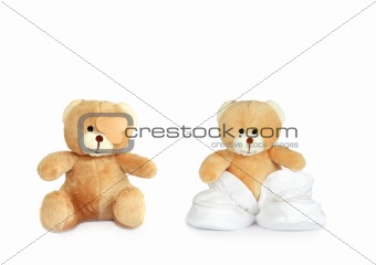 Twin Teddy Bears