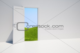 Door with grass field