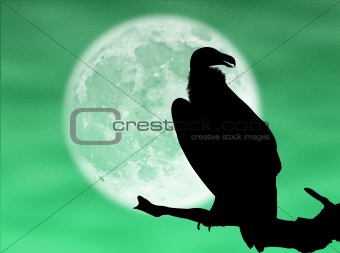 Eagle in the moon