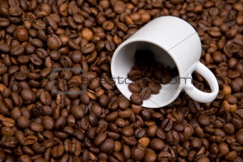 white cup over coffee bean made background
