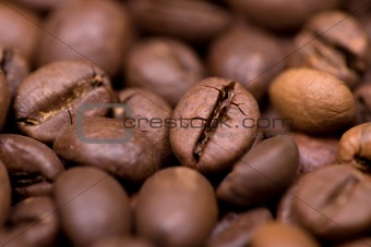 Close up macro shot of coffee bean