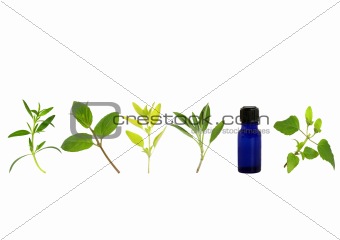 Aromatherapy Herb Leaf Sprigs