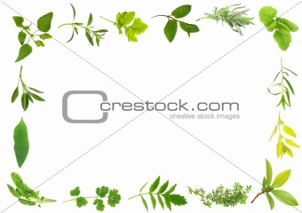 Herb Leaf Border