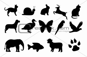 Nine animals black