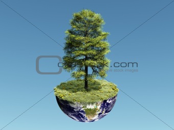 Single Tree on Earth