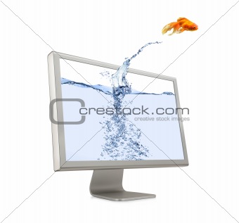 Goldfish Jumping Out Of Screen