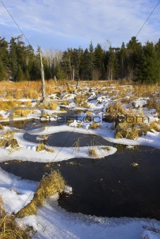 Iced forest lakes