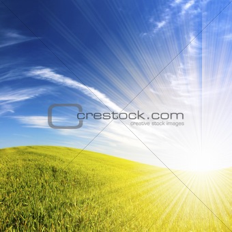 beautifull landscape with green grass and blue sky