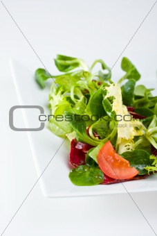 detail of a mixed salad on a white plate