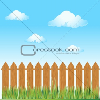 Wooden fence, summer grass