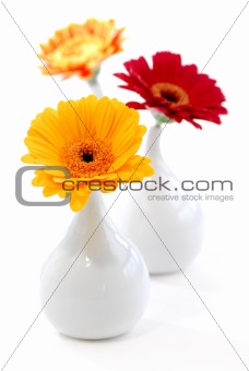 Interior design vases