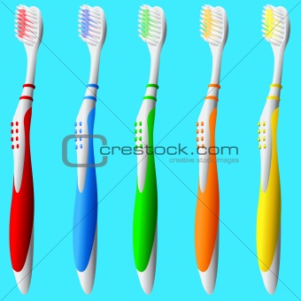 Toothbrushes in vector