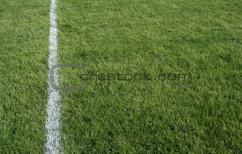 Green Grass and White Line