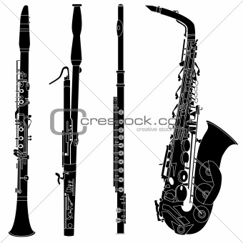 Woodwind musical instruments in vector