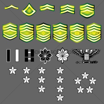 US Army rank insignia