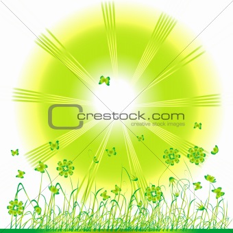 Grass green, summer background