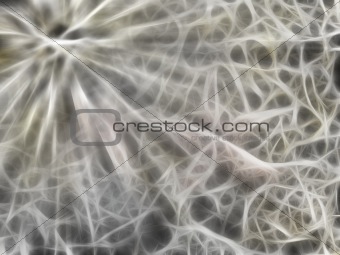 Abstract fractal spawn grunge background
