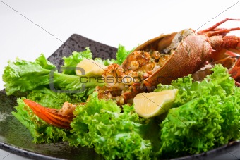 cooked lobster