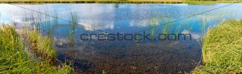 Summer rushy lake panorama