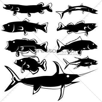 Stylized fish in vector silhouette