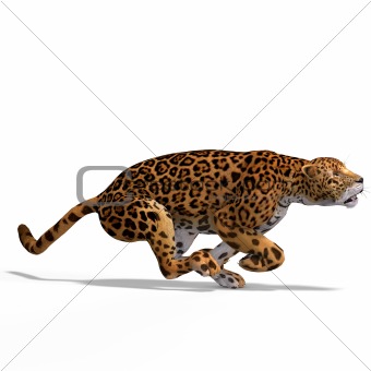 jaguar animal cartoon