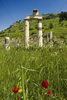 Columns and Poppies