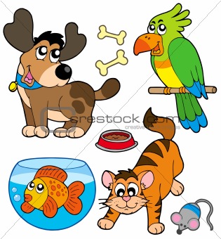 Cartoon pets collection