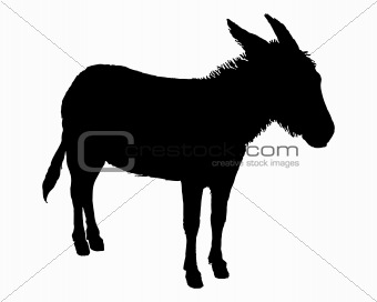 The black silhouette of a donkey on white 