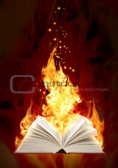 Book of magic fire 