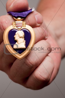 Man Holding Purple Heart War Medal on a Grey Background.