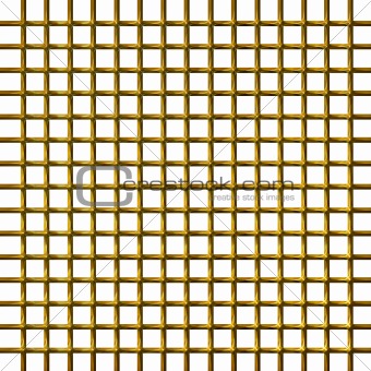 3D Golden Net