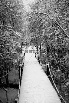 Bridge in the snow