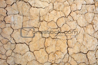 Parched earth