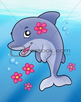 Cute dolphin girl in sea