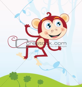 Jungle monkey