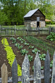 farming garden with barn house