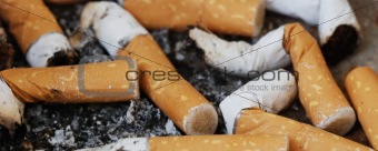 cigarettes filters