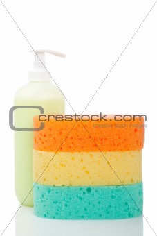 Soap dispenser and sponges