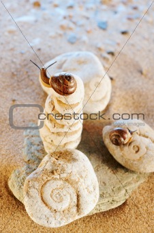Two Snail 