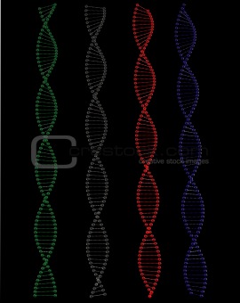 Computer generated model of DNA