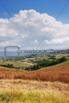 Summertime landscape with fields;bridges and cloudy sky           