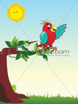 wallpaper parrot sitting on tree branch
